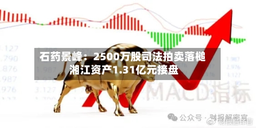 石药景峰：2500万股司法拍卖落槌 湘江资产1.31亿元接盘-第3张图片