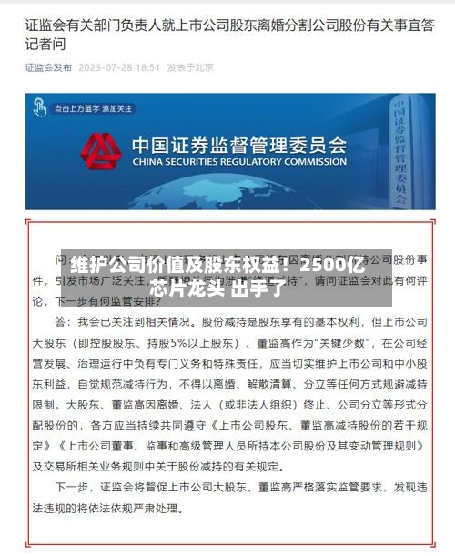 维护公司价值及股东权益！2500亿芯片龙头 出手了-第2张图片
