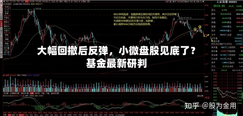 大幅回撤后反弹，小微盘股见底了？基金最新研判-第2张图片