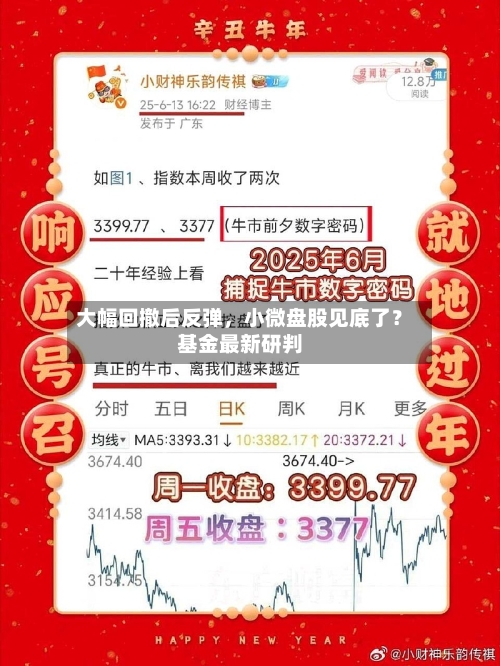 大幅回撤后反弹	，小微盘股见底了？基金最新研判-第3张图片