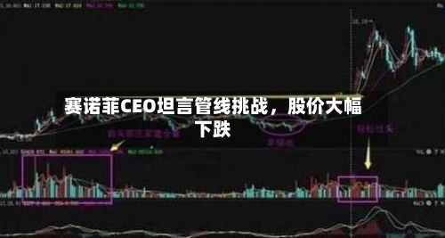 赛诺菲CEO坦言管线挑战，股价大幅下跌-第3张图片