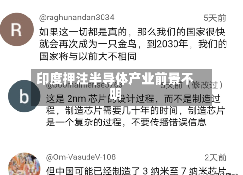 印度押注半导体产业前景不明-第2张图片