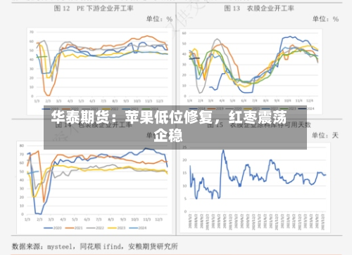 华泰期货：苹果低位修复，红枣震荡企稳-第2张图片
