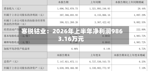 寒锐钴业：2026年上半年净利润9863.16万元-第2张图片