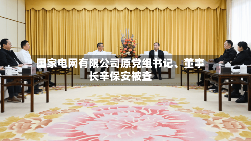 国家电网有限公司原党组书记、董事长辛保安被查-第2张图片