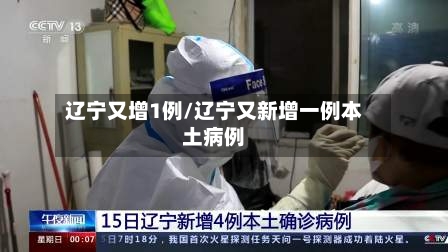 辽宁又增1例/辽宁又新增一例本土病例-第2张图片