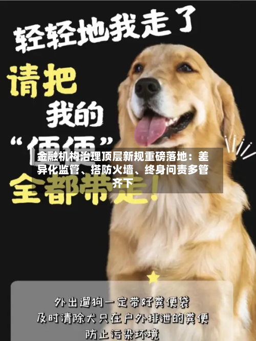 金融机构治理顶层新规重磅落地：差异化监管、搭防火墙、终身问责多管齐下-第3张图片