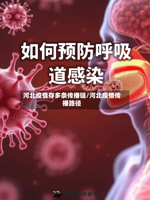 河北疫情存多条传播链/河北疫情传播路径-第3张图片