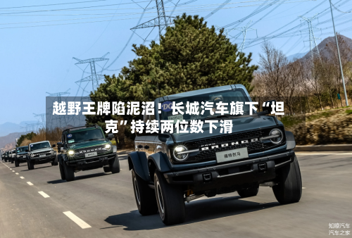 越野王牌陷泥沼！长城汽车旗下“坦克”持续两位数下滑-第3张图片