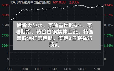 世界油价大跳水，美油重挫超6%，美股期指、黄金白银集体上涨	，特朗普取消打击伊朗，美伊3日将举行谈判-第3张图片