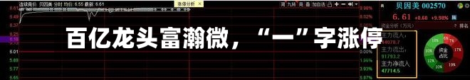 百亿龙头富瀚微，“一”字涨停-第3张图片