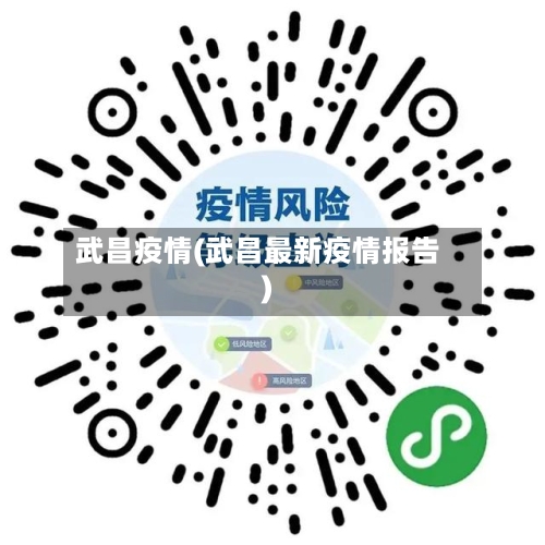 武昌疫情(武昌最新疫情报告)-第3张图片