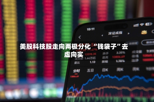 美股科技股走向两极分化 “钱袋子”去虚向实-第2张图片