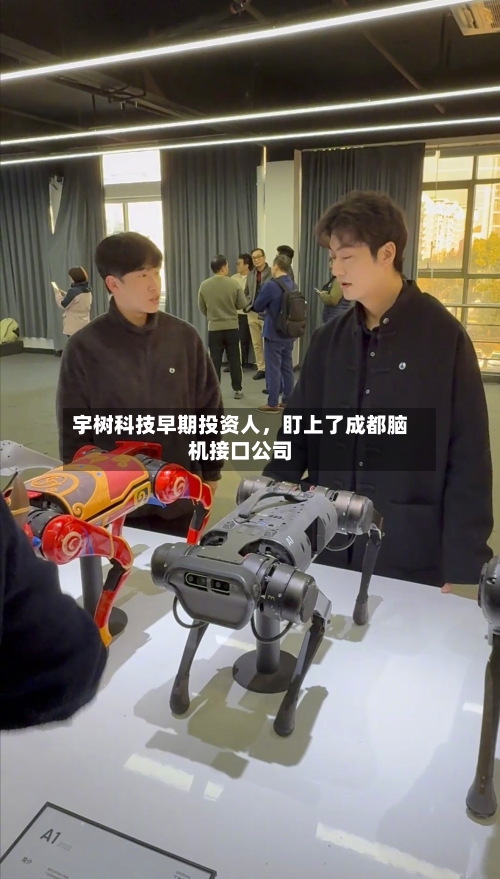 宇树科技早期投资人，盯上了成都脑机接口公司-第3张图片