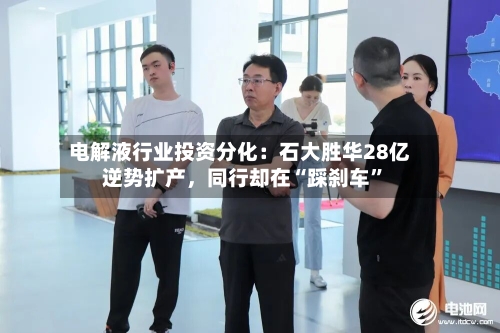 电解液行业投资分化：石大胜华28亿逆势扩产	，同行却在“踩刹车	”-第2张图片
