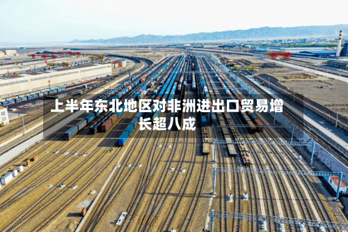上半年东北地区对非洲进出口贸易增长超八成-第2张图片