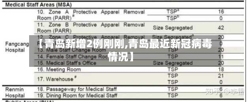 【青岛新增2例刚刚,青岛最近新冠病毒情况】-第3张图片