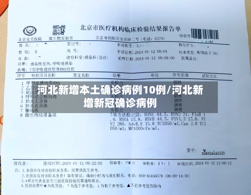 河北新增本土确诊病例10例/河北新增新冠确诊病例