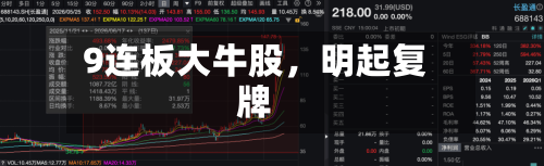 9连板大牛股	，明起复牌-第3张图片