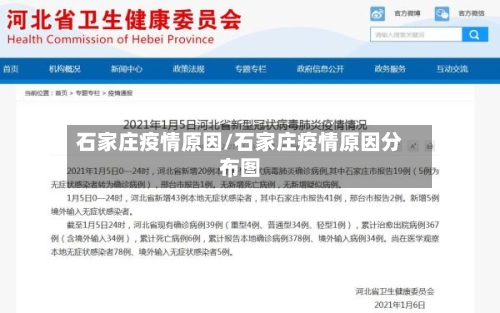 石家庄疫情原因/石家庄疫情原因分布图