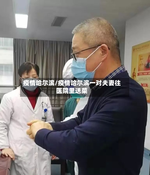 疫情哈尔滨/疫情哈尔滨一对夫妻往医院里送菜
