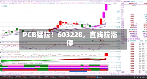 PCB猛拉！603228，直线拉涨停-第2张图片