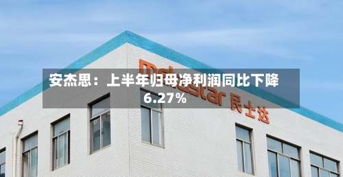安杰思：上半年归母净利润同比下降6.27%-第2张图片