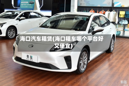 海口汽车租赁(海口租车哪个平台好又便宜)-第2张图片