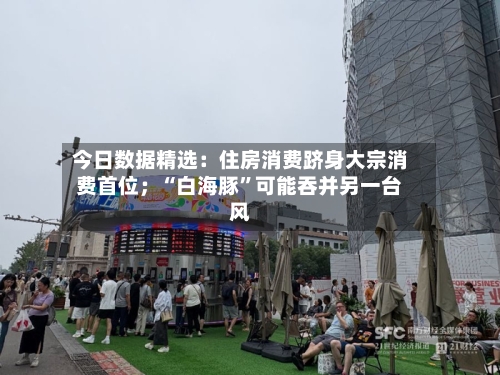 今日数据精选：住房消费跻身大宗消费首位；“白海豚	”可能吞并另一台风-第2张图片