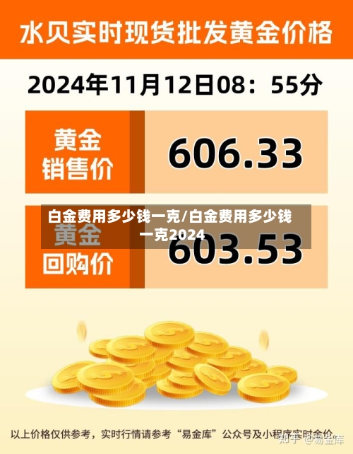白金费用多少钱一克/白金费用多少钱一克2024