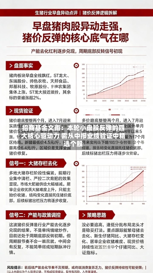 招商基金文雨：本轮小盘股反弹的四大核心驱动力 需从中报业绩验证中精选个股