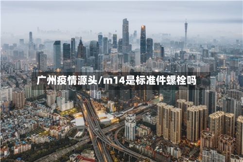广州疫情源头/m14是标准件螺栓吗-第2张图片