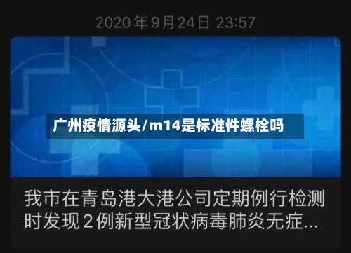 广州疫情源头/m14是标准件螺栓吗-第3张图片