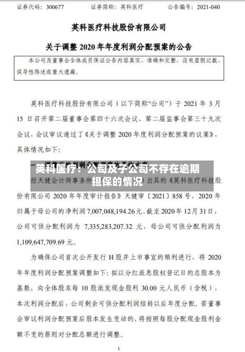 英科医疗：公司及子公司不存在逾期担保的情况