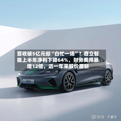 营收破5亿元却“白忙一场”？酉立智能上半年净利下降64%	，财务费用暴增12倍，近一年来股价腰斩-第3张图片