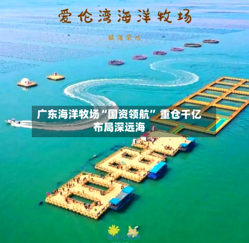 广东海洋牧场“国资领航	” 重仓千亿布局深远海-第2张图片