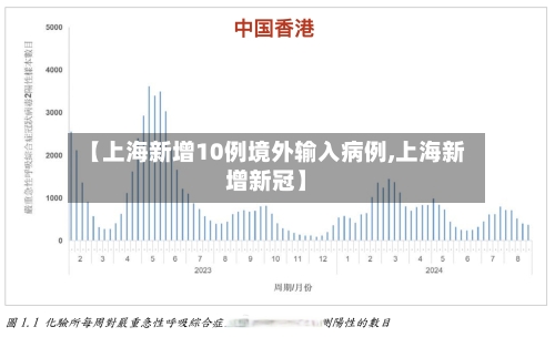 【上海新增10例境外输入病例,上海新增新冠】-第2张图片