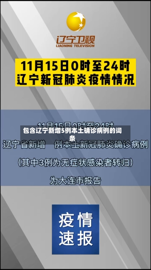 包含辽宁新增5例本土确诊病例的词条