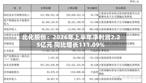 北化股份：2026年上半年净利润2.25亿元 同比增长111.09%-第3张图片