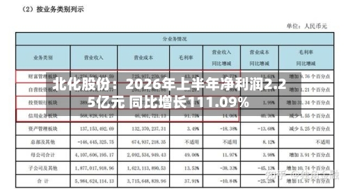 北化股份：2026年上半年净利润2.25亿元 同比增长111.09%-第2张图片