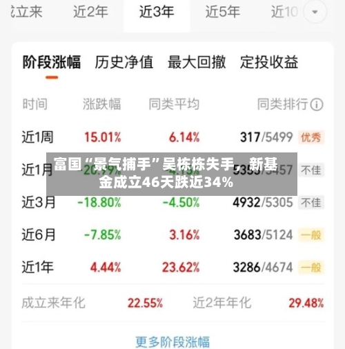 富国“景气捕手”吴栋栋失手，新基金成立46天跌近34%-第3张图片