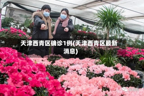 天津西青区确诊1例(天津西青区最新消息)