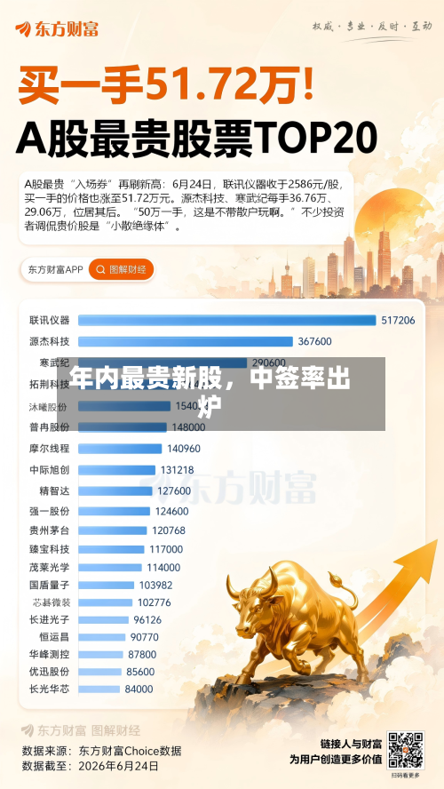 年内最贵新股，中签率出炉-第3张图片