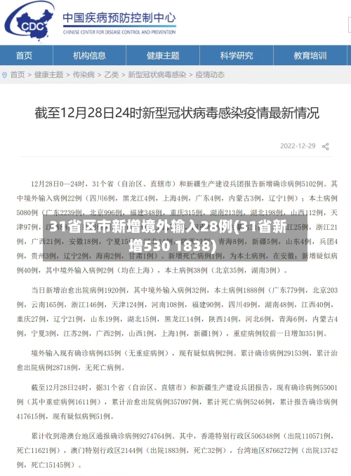 31省区市新增境外输入28例(31省新增530 1838)-第2张图片
