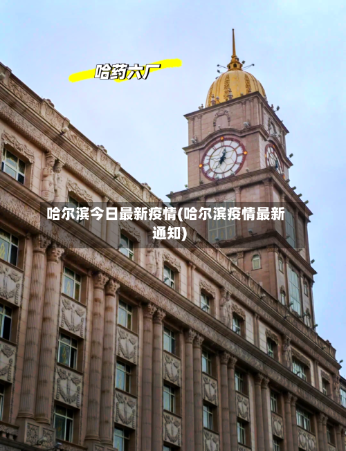 哈尔滨今日最新疫情(哈尔滨疫情最新通知)-第3张图片