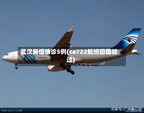 武汉新增确诊5例(ca722航班回国经过)
