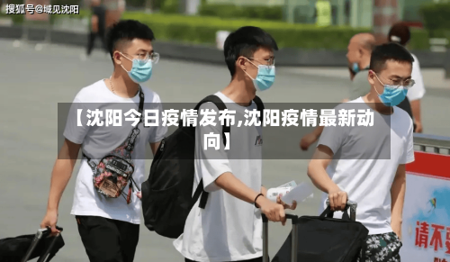 【沈阳今日疫情发布,沈阳疫情最新动向】-第2张图片