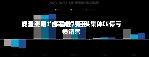光伏上游“自杀式”费用战迎终局？多晶硅八巨头集体叫停亏损销售-第2张图片
