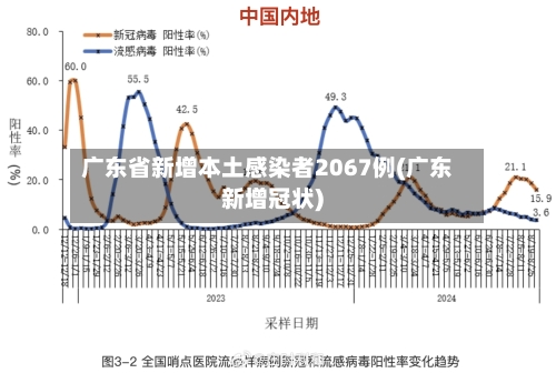 广东省新增本土感染者2067例(广东新增冠状)