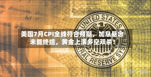 美国7月CPI全线符合预期，加息悬念未能终结	，黄金上演多空双杀！-第2张图片